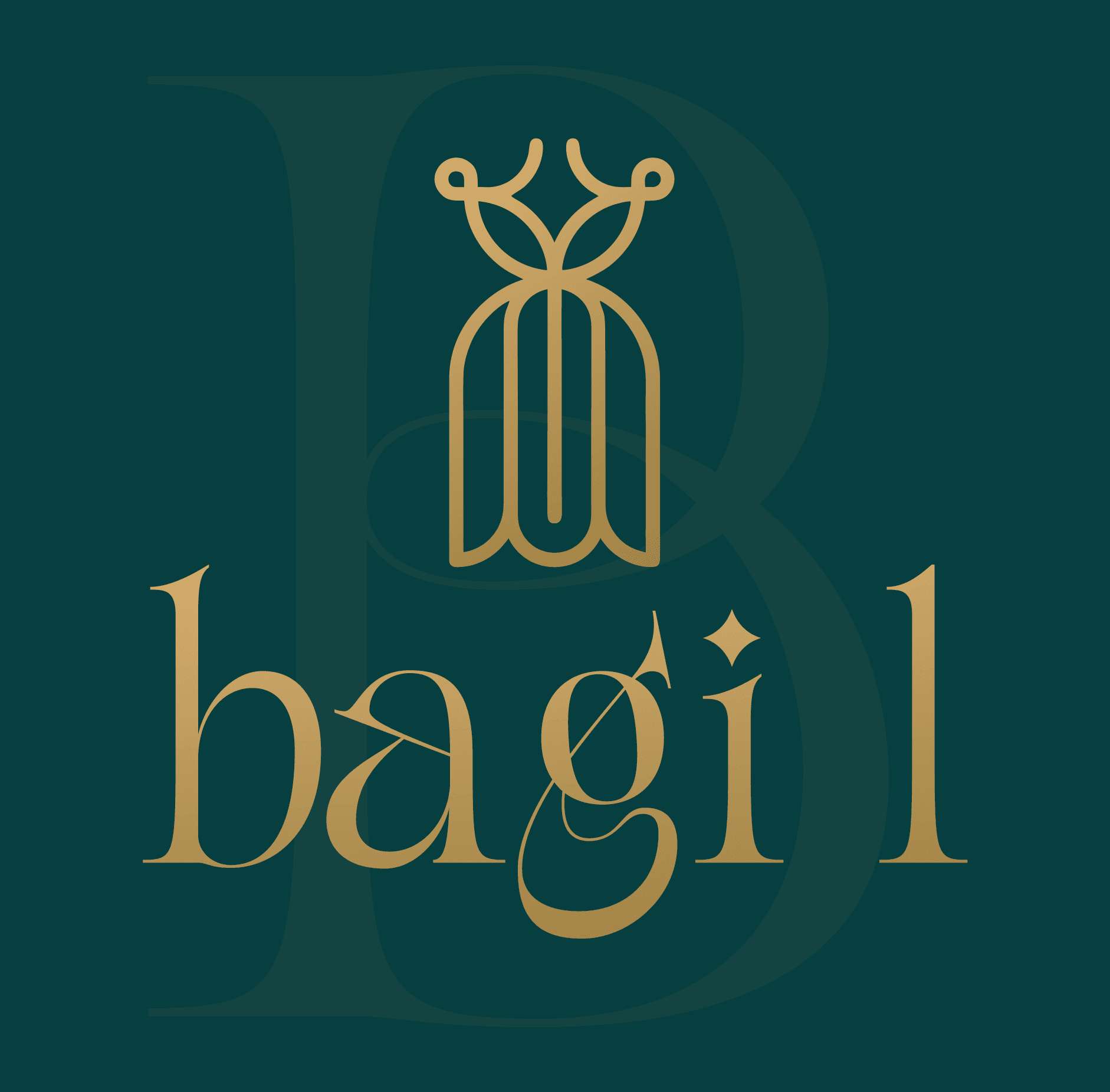 Bagi